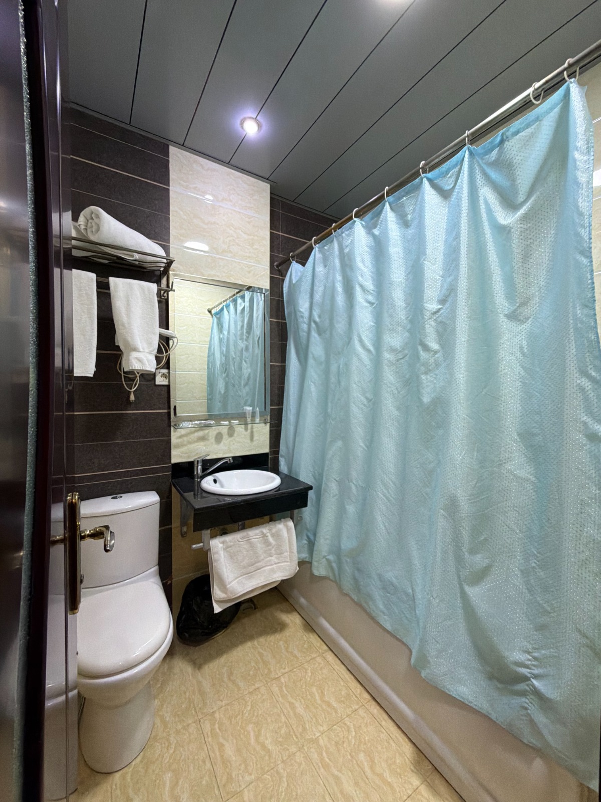 Royal Hotel Standard Single Room otağı - Bakı şəkil 3